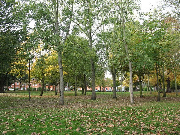 The Pleasance, a green space within the estate.