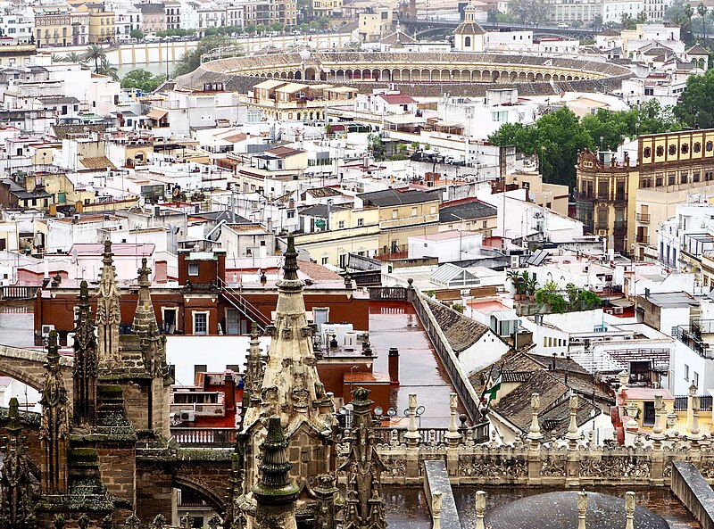 File:The Real Maestranza bullring from Giralda belltower, Sevilla, Spain.jpg