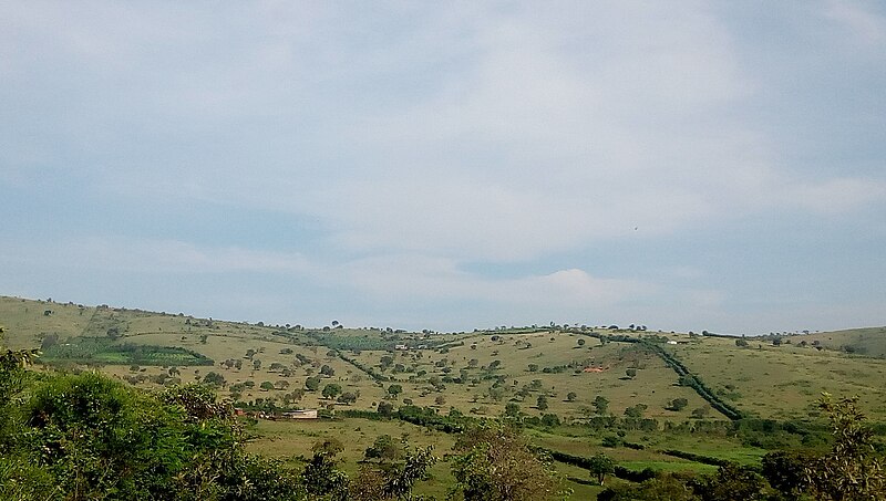 File:The dry seasons in the eastern province in Rwanda.jpg