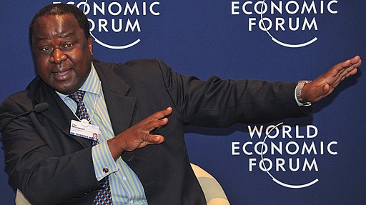 Tito Mboweni - New Champions - World Economic Forum on Africa 2011