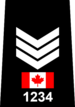 Toronto Police - Sergeant.png