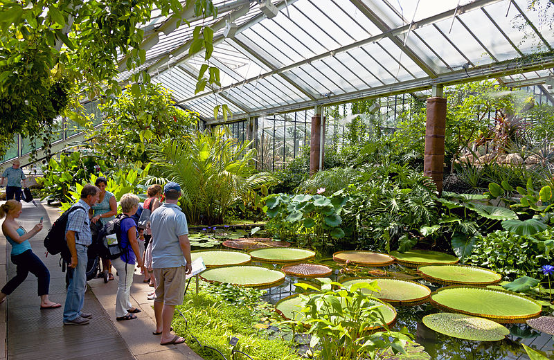 File:Tourists in the Princess of Wales Conservatory, Kew Gardens.jpg