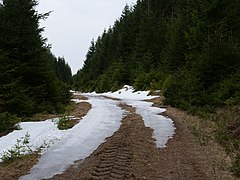 Track at Großer Winterberg 17.jpg 78889775 6 599 20190601074156