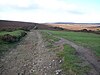 Track na Crowcombe common - geograph.org.uk - 939796.jpg