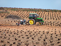 Tractor agrícola en los campos de El Toboso (DavidDaguerro).jpg