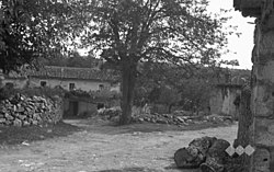 Tublje pri Hrpeljah in 1955