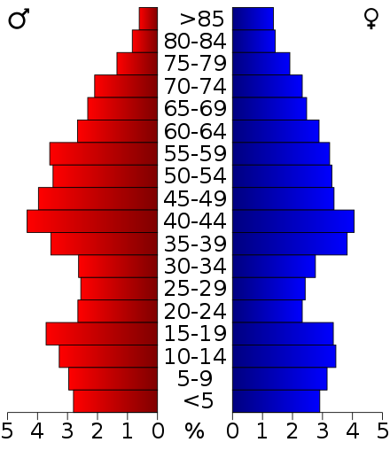 2000 census age pyramid for Henderson County