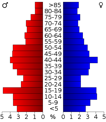 2000 Census Age Pyramid for Pepin County