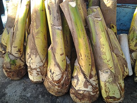 Ubod (coconut heart) sold in the Philippines