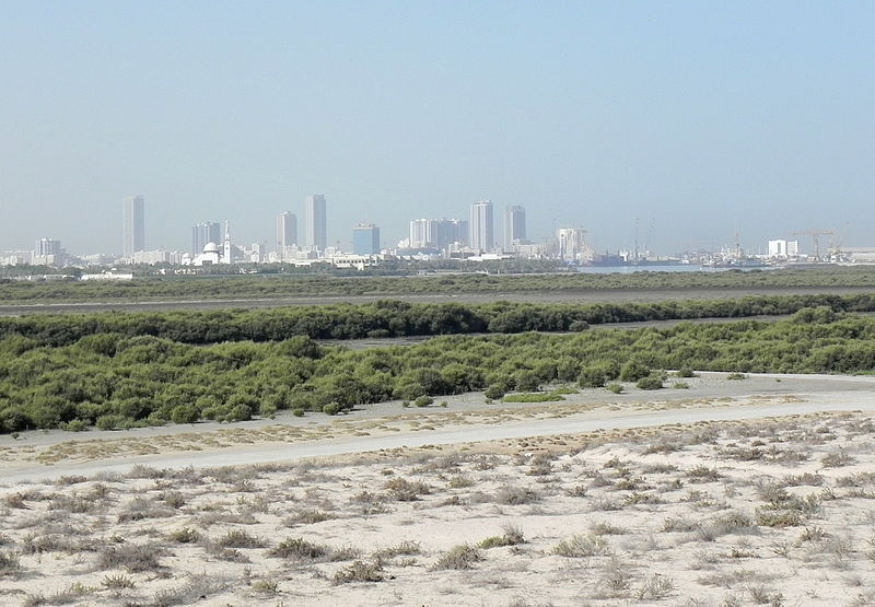 Archivo:Umm Al Quwain mangroves (7267363924).jpg