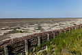 Uniek door eb en vloed steeds wisselend kweldergebied. Locatie, Noarderleech Provincie Friesland.