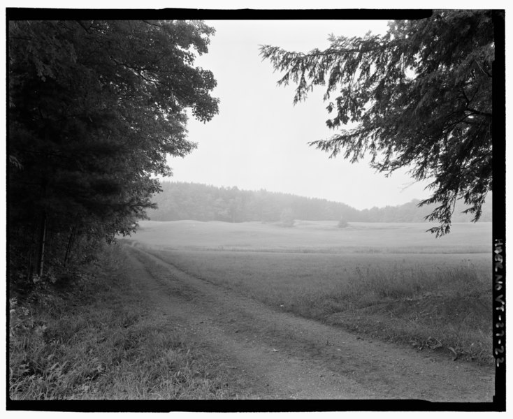 File:VIEW OF ELM LOT TOWARD RED PINE PLANTATION FROM ROAD TO SOUTH PEAK. VIEW SW - Marsh-Billings-Rockefeller Carriage Roads, Woodstock, Windsor County, VT HAER VT,14-WOOD,9-22.tif