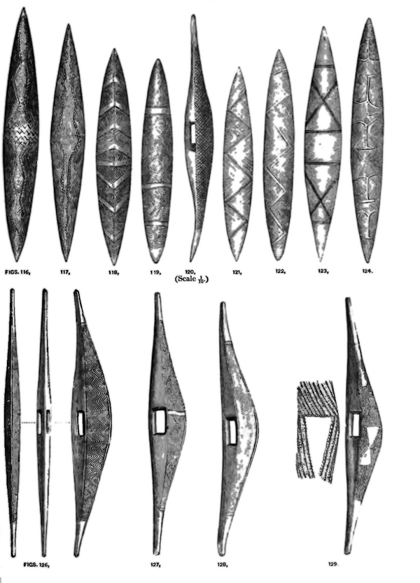 Drawn sketches as figures of various forms of the mulga (shields)