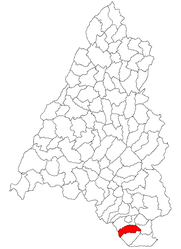 Vaşcău - Carte