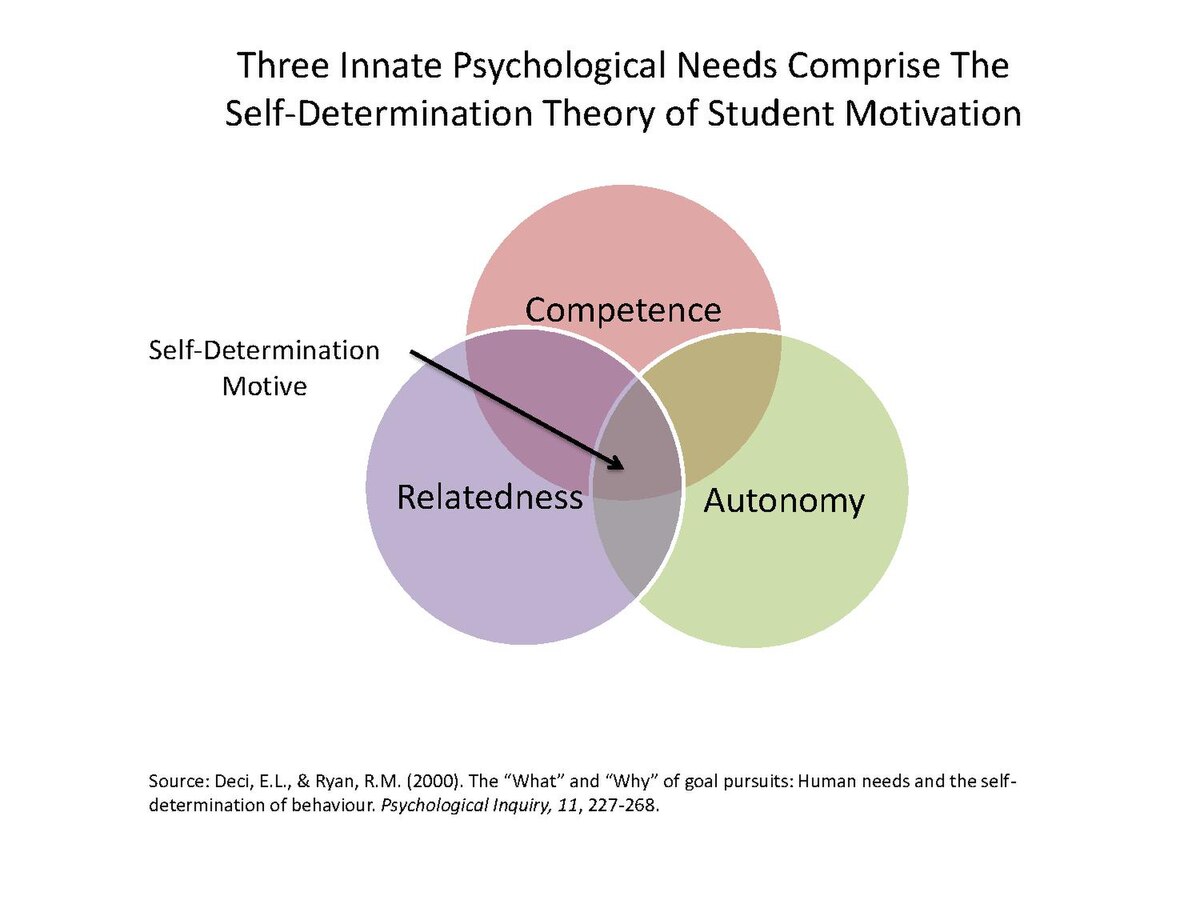 Motivation And Emotion  Book  2014  Self