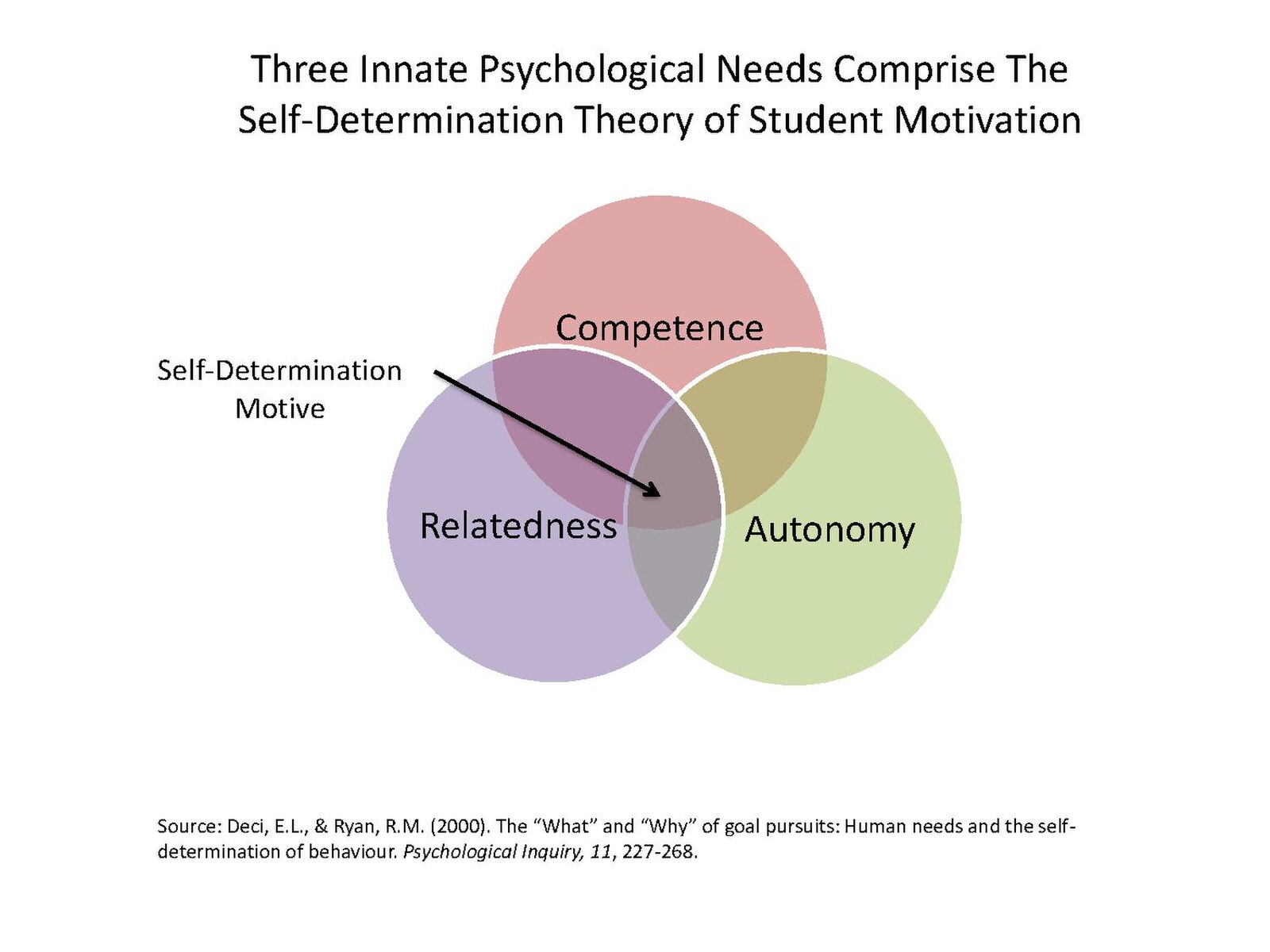 Теория студента. Self-determination Theory. Self determination Theory autonomy. Psychology Motivation. Deci Ryan self determination Theory.