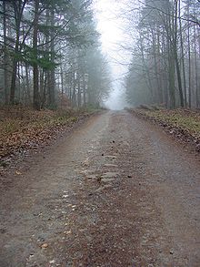 Via Regia between Fulda and Neuhof in Hesse, Germany Viaregia1.jpg