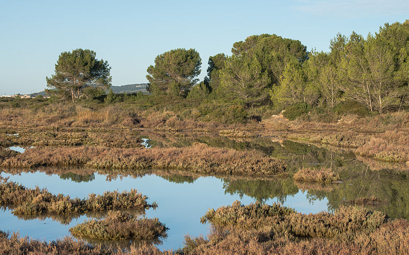 File:Vic-la-Gardiole, Hérault 13.jpg