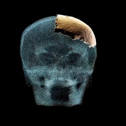 File:Video showing the reconstructed location of Nesher Ramla 1 on a skull.webm