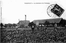 campo di barbabietole in primo piano con lavoratori agricoli, fabbrica con la sua ciminiera e il suo capannone sullo sfondo