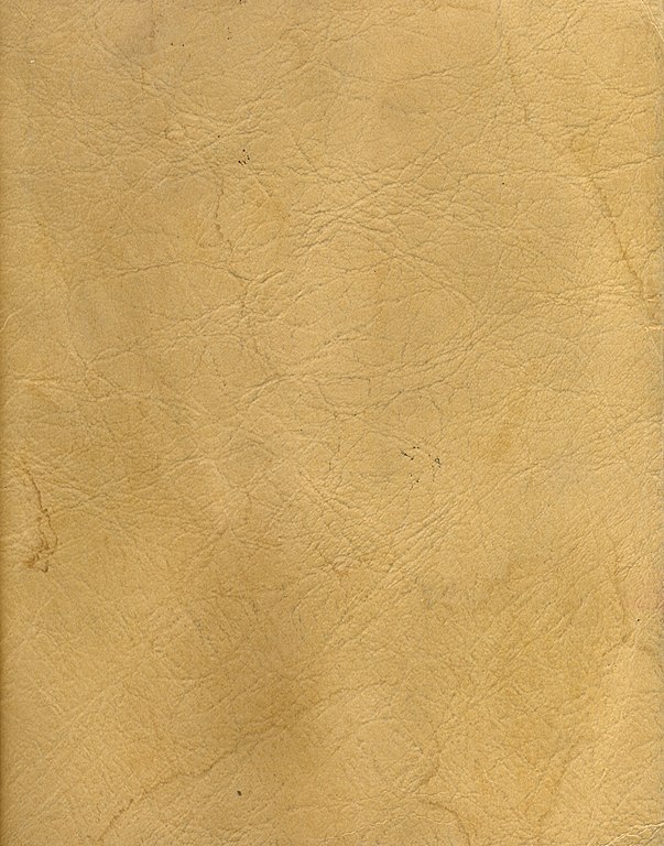 Vintage Paper Texture (Paper)