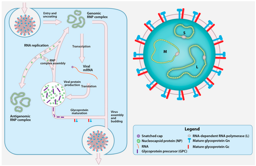 Viruses-08-00106-g001