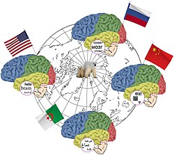 visual word form area (VWFA) is a functional region of the left fusiform gyrus and surrounding cortex that is hypothesized to be involved in identifying words and letters from lower-level shape images, prior to association with phonology or semantics