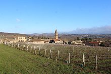 Pouilly-loché à Loché.