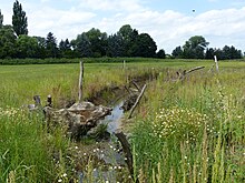 Renaturierter Verlauf der Wabe bei der Rautheimer Mühle 2017