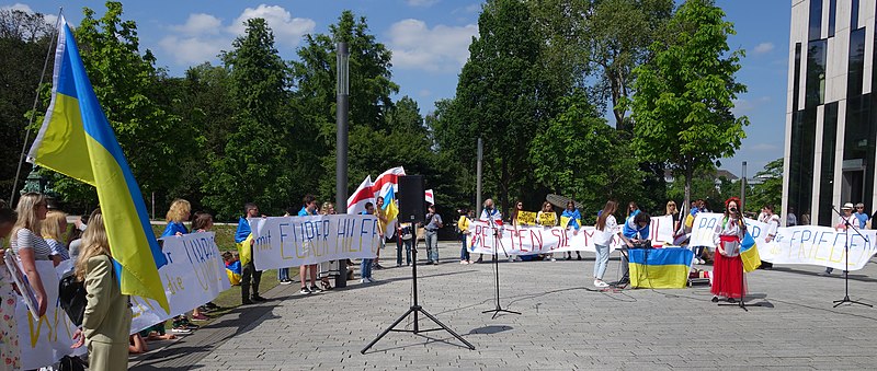 Datei:Waffen für die Ukraine. Demo in Düsseldorf, 14. Mai 2022.jpg
