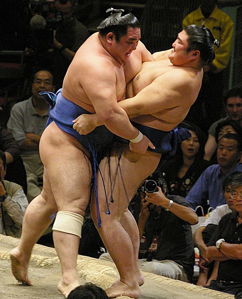Wakanosato against Kotomitsuki