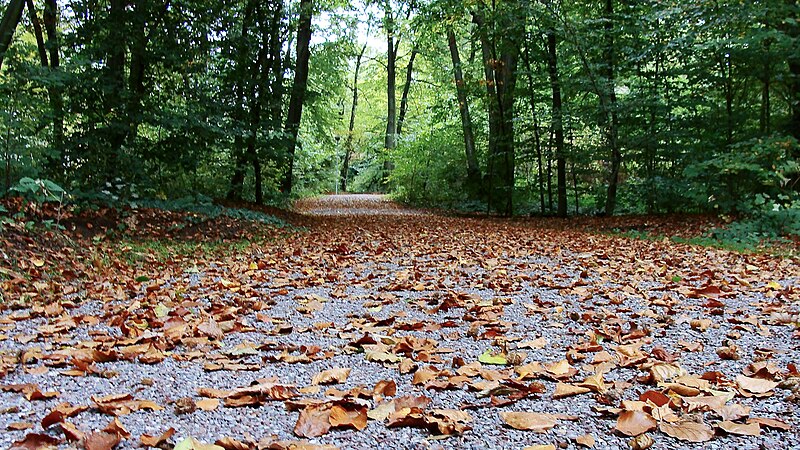 File:Wanderweg- Kaiserberg- Duisburg.jpg