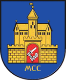Wappen der Stadt Hohenleuben