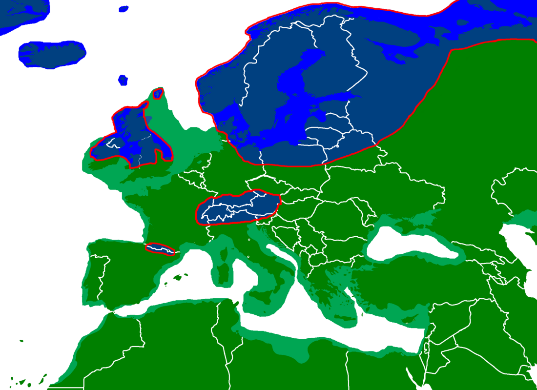 File:Weichsel ice age europe.png