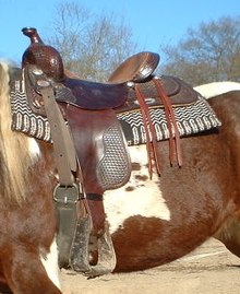 Blinkers (horse tack) - Wikipedia