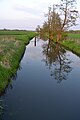 Deutsch: Hauptgraben und Wehr Zechin.