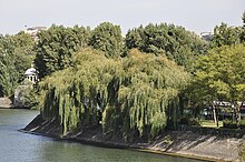 Île de Puteaux