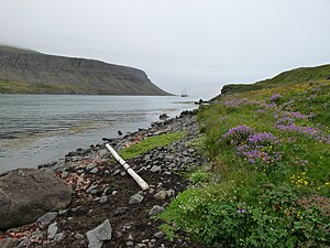 In Þaralátursfjörður