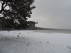 bords gelés d'un lac (2016) ;