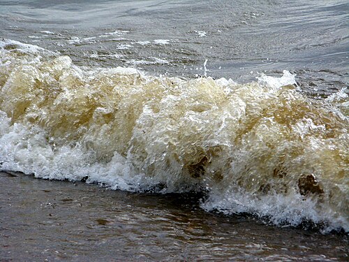 Cold waters of Saint Petersburg 2