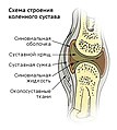 Миниатюрань версия 13:36, 22 Таштамковонь 2011-стэ