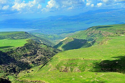 Gamla Nature Reserve aerial view