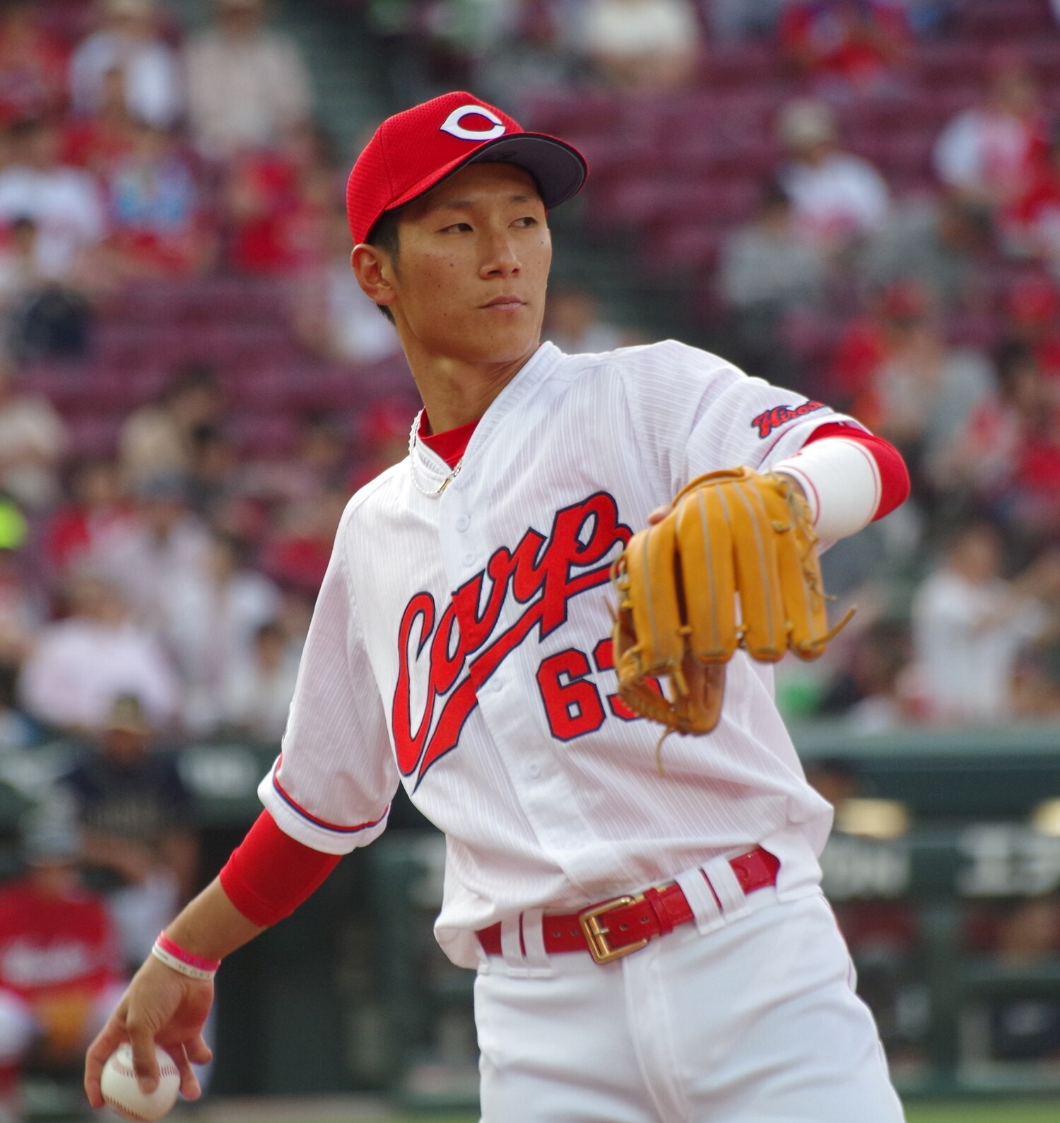 Hiroshima Toyo Carp - Wikipedia