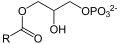 Deutsch: Struktur von 1-Acylglycerin-3-phosphat English: Structure of 1-acylglycerol-3-phosphate