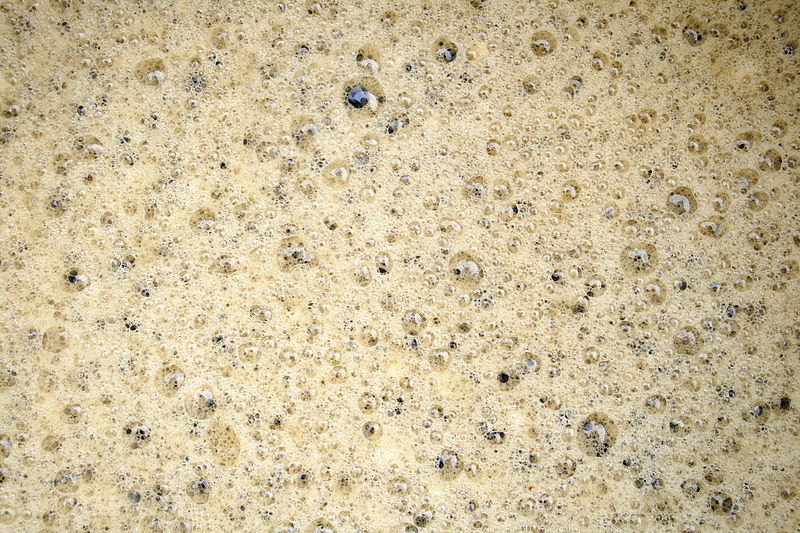 File:2009-03-21 Beer brewing bubbles.jpg