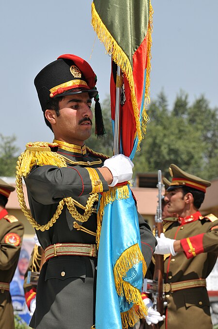 ไฟล์:2011_Afghan_Independence_Day-7.jpg