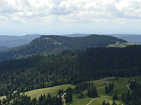 2012 Schwarzwald 106 Spiesshorn 1349m.JPG