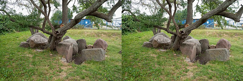 File:20180625 Grosssteingrab Neu Gaarz Rerik DSC00068L DSC00067R Stereo PtrQs.jpg