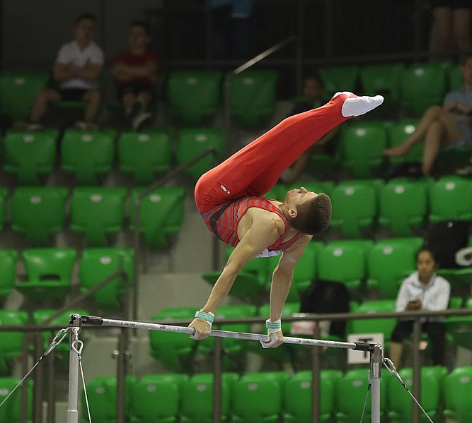 File:2019-06-27 1st FIG Artistic Gymnastics JWCH Men's All-around competition Subdivision 3 Horizontal bar (Martin Rulsch) 298.jpg