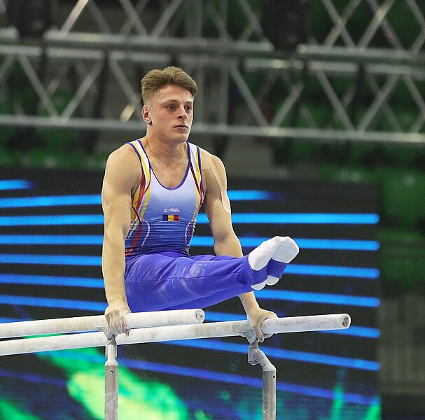 File:2019-06-27 1st FIG Artistic Gymnastics JWCH Men's All-around competition Subdivision 3 Parallel bars (Martin Rulsch) 178.jpg